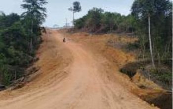 berita 129031 kemenhut tetapkan pt gtp tersangka kasus peram