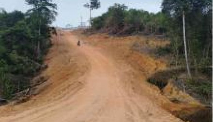 Kemenhut Tetapkan PT GTP Tersangka Kasus Perambahan Hutan Lindung Batam
